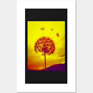 Bright and colourful psychedelic dandelion Posters and Art